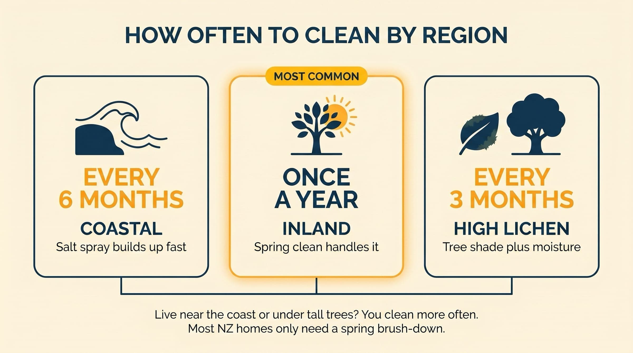 Editorial illustration with three region cards: coastal (every 6 months), inland (once a year, highlighted as most common), and high-lichen areas (every 3 months).