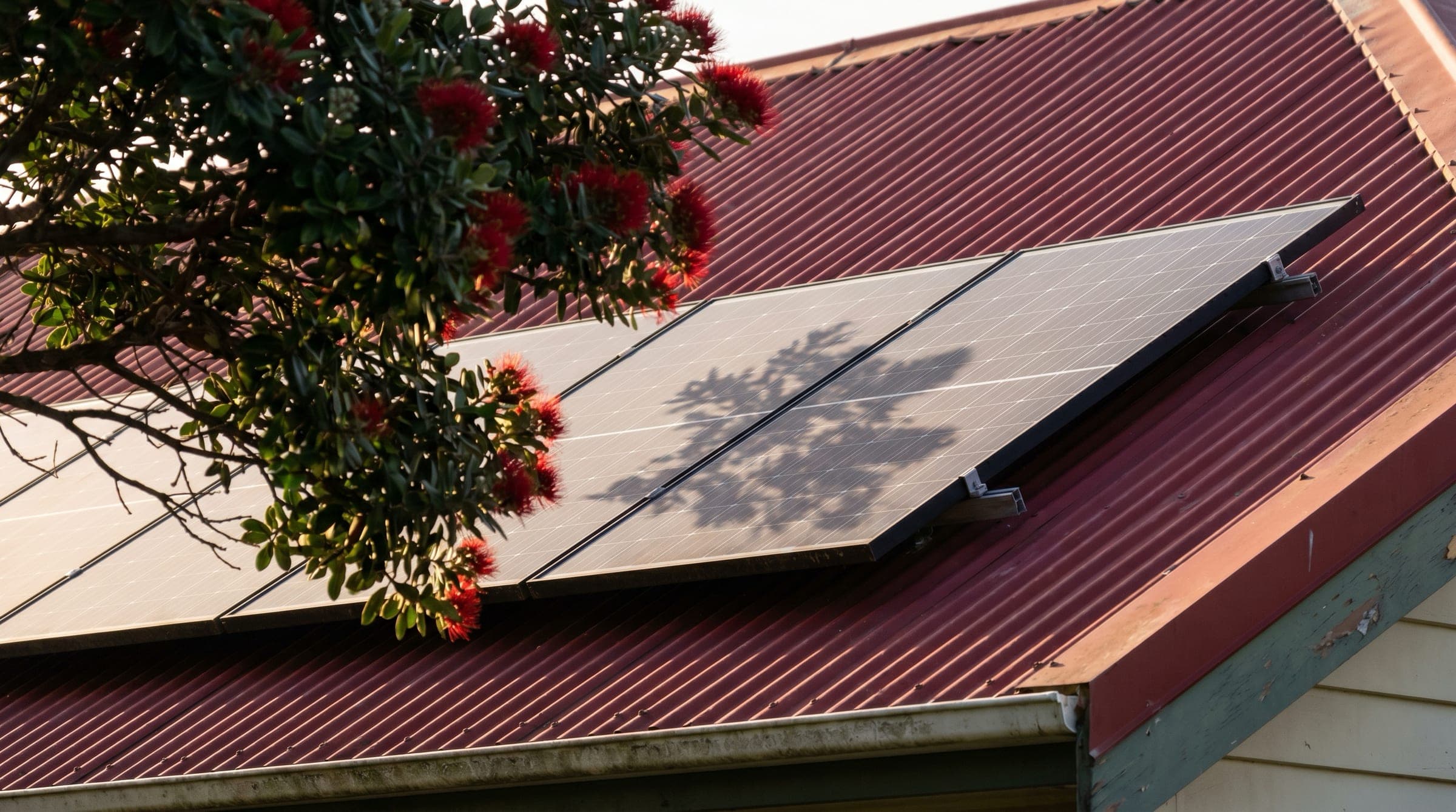 Late-afternoon pohutukawa shadow falling across solar panels on a New Zealand roof