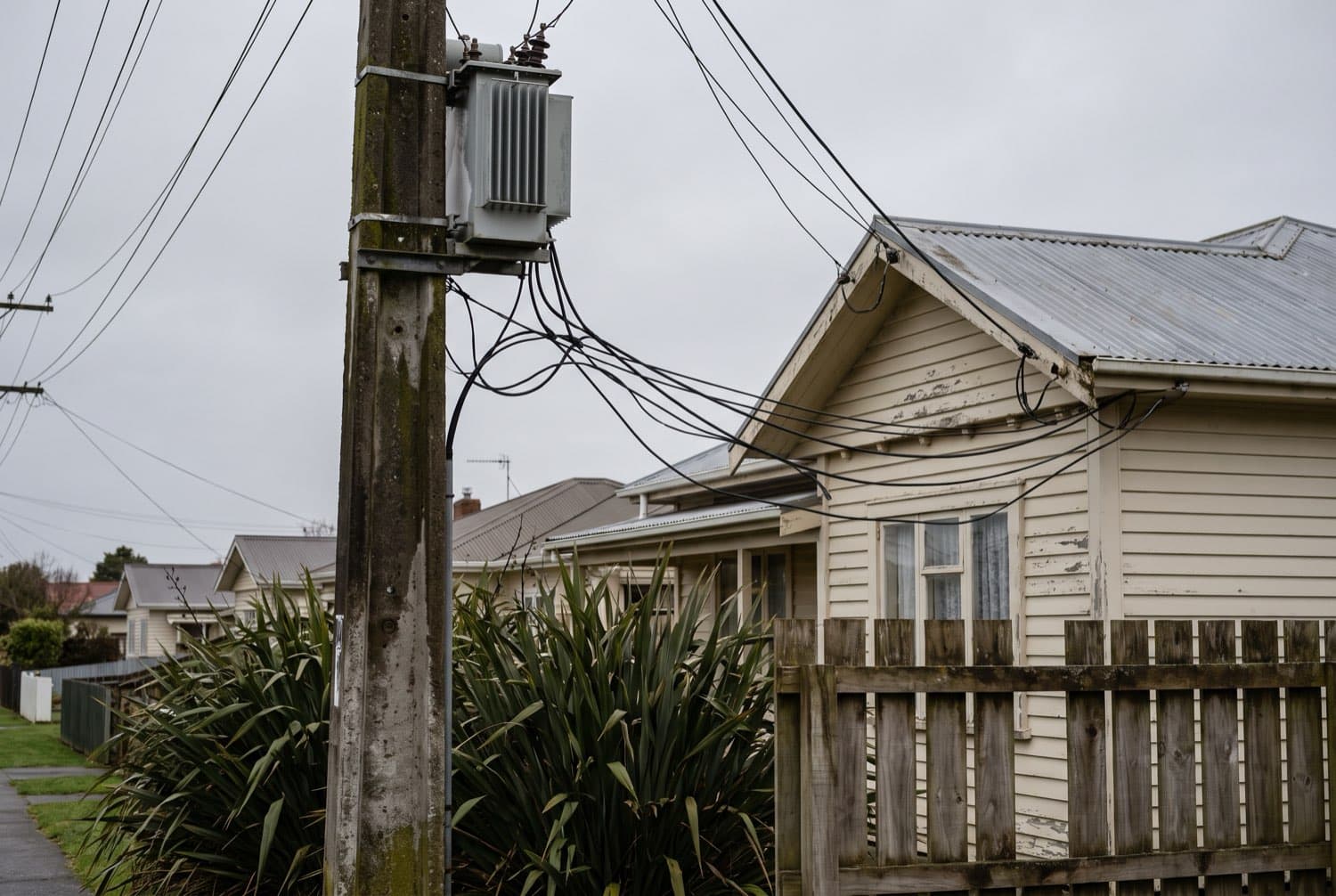 A lines-company pole-top transformer with service wires running to a suburban New Zealand house